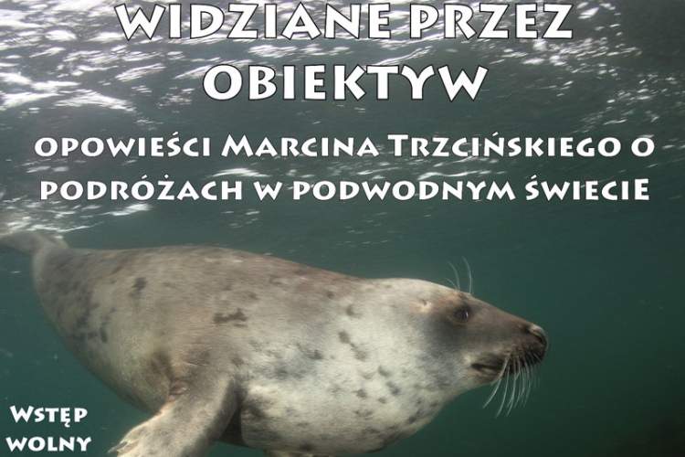 IV Toruńskie Spotkania Nurkowe - Widziane przez obiektyw