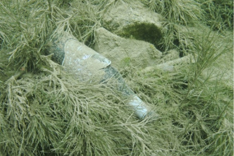 Opolski Eco Diving