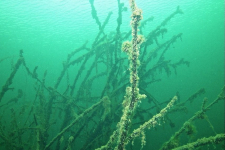 Opolski Eco Diving