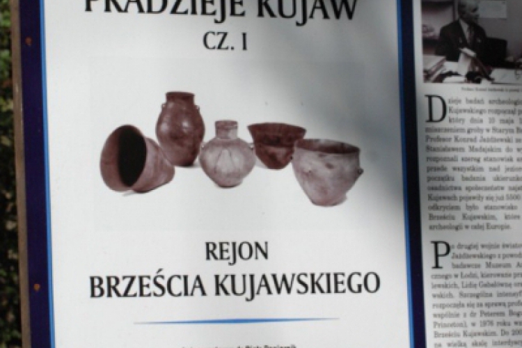 Wehikuł czasu