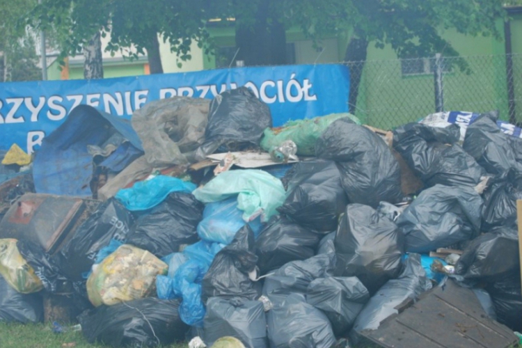 Czyścimy Jezioro Dominickie 2013