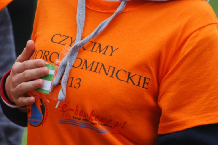 Czyścimy Jezioro Dominickie 2013