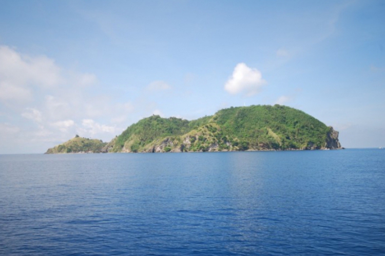 Apo Island