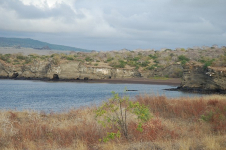 Wybrzeże wyspy Galapagos