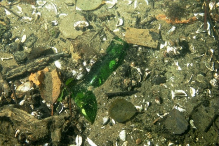 Śmieci w polskich jeziorach