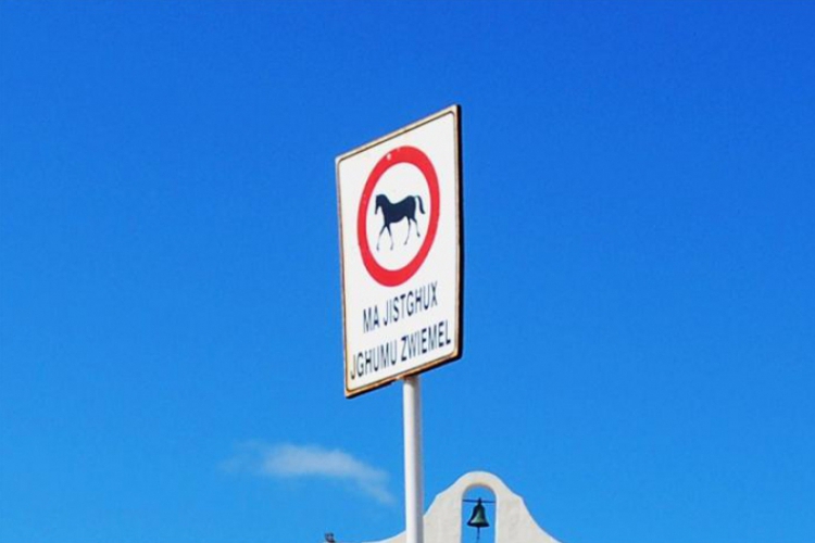 Zakaz biegania wolno - dla koni