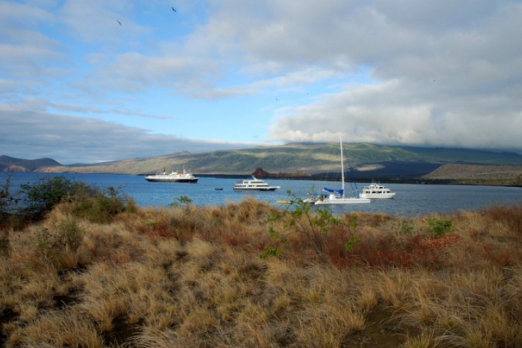 Galapagos 2008