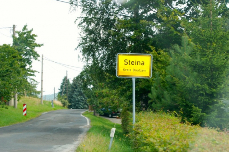 Steina