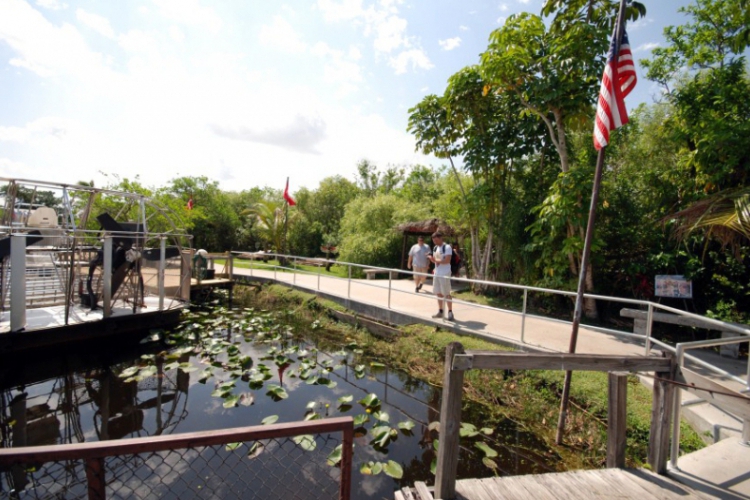 Everglades