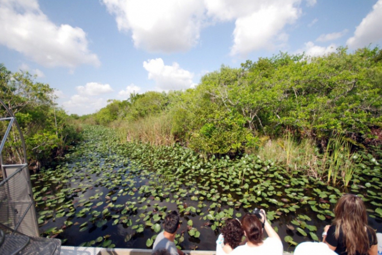 Everglades