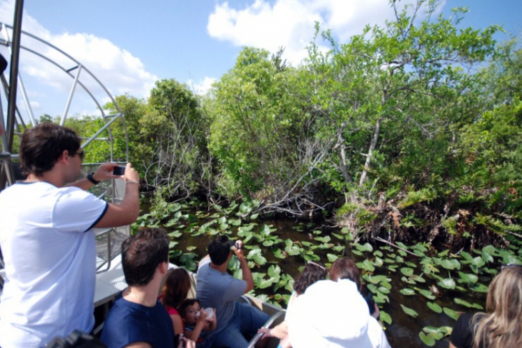 Everglades