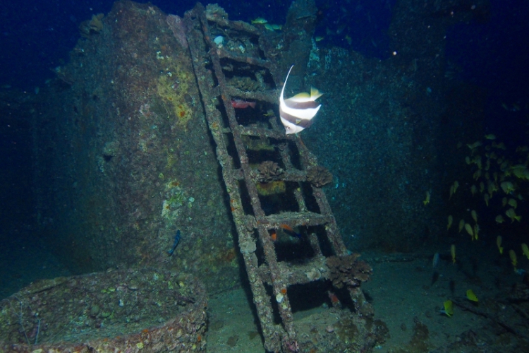 „Moje Hawaje” - Witamy na Oahu (Divers24 05-04-2016)