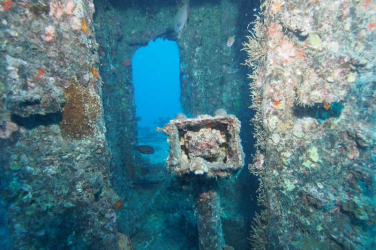 „Moje Hawaje” - Witamy na Oahu (Divers24 05-04-2016)